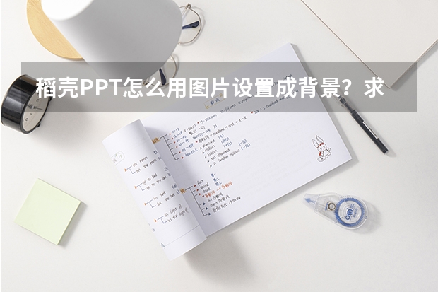 稻壳PPT怎么用图片设置成背景？求具体过程。